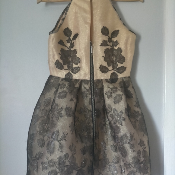 Beautiful designer ALEX PERRY COCKTAIL DRESS SIZE 8 - Picture 2 of 15